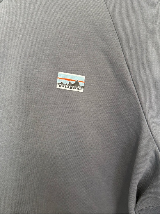 Patagonia Women's Regenerative Organic Certified Cotton Essential Hoodie Sz L - Picture 3 of 6